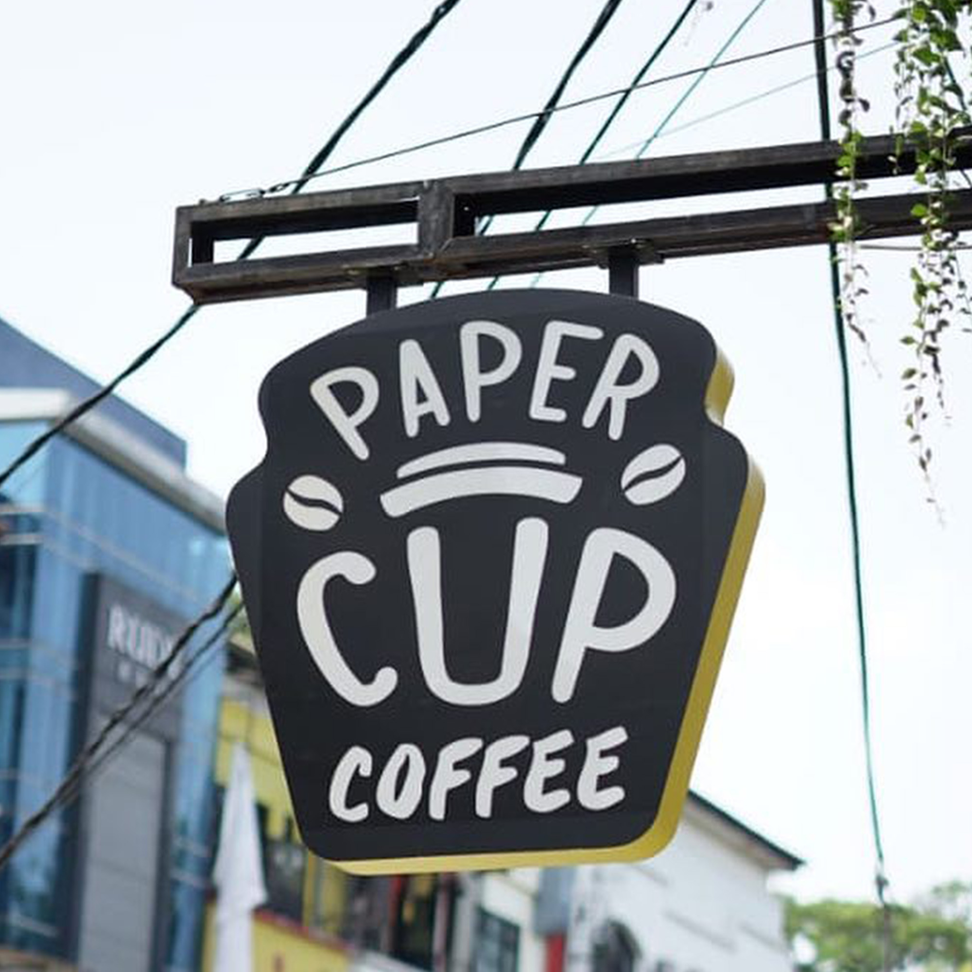 Paper Cup